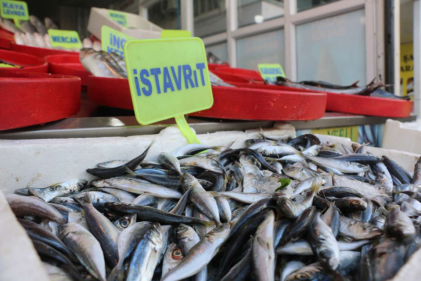 Alıcı ve satıcılar balık fiyatlarından memnun